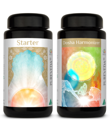 Pureveda Starter + Dosha Harmonizer | 180 Kapseln |  Dr. med. Michalzik