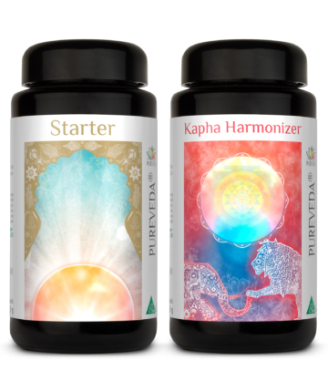 Pureveda Starter + Kapha Harmonizer | 180 Kapseln |  Dr. med. Michalzik