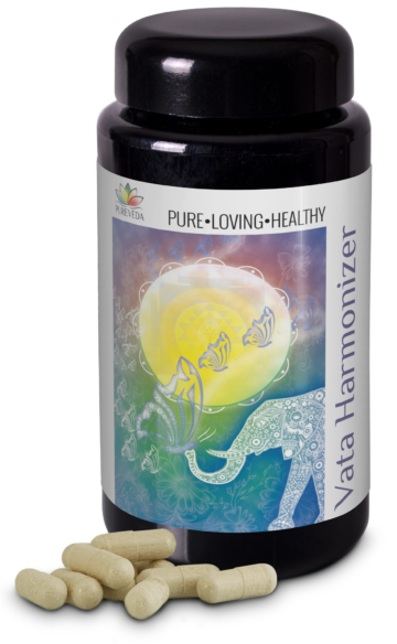 Pureveda Vata-Harmonizer | 600mg Bio-Haritaki | 90 Kapseln |  Dr. med. Michalzik