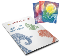 VedaCards Mappe  | mit 3 Karten  |  Dr. med. Michalzik